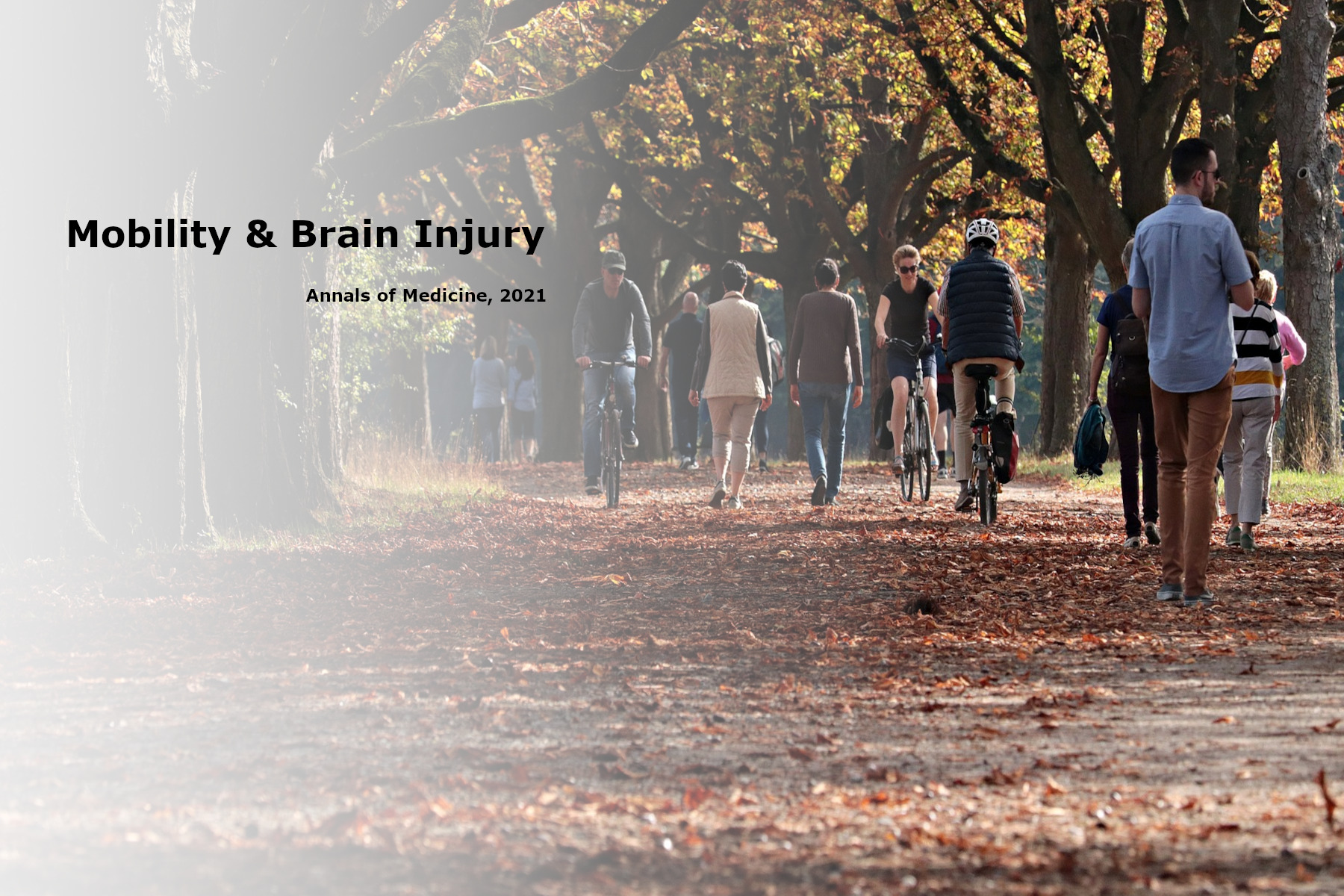 Mobility and Brain Injury